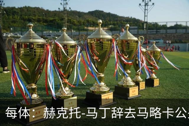每体：赫克托-马丁辞去马略卡公关总监一职