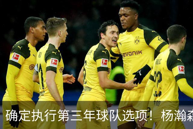 确定执行第三年球队选项！杨瀚森可以放心，继续提升自己